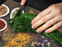 Glass Kitchen Board 60D03A: Root spices 2