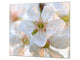 Induction Cooktop cover 60D06A: Cherry blossom 1