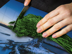 Küchenbrett aus Hartglas und Kochplattenabdeckung; D08 Nature Series:  Marine coast 5