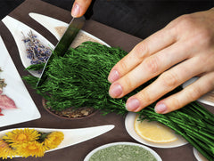 Glass Kitchen Board 60D03A: Mosaic with spices 2