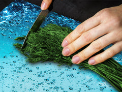 Tempered GLASS Cutting Board 60D10: Water 1
