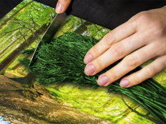 Planche à découper en verre trempé ; D08  Série Nature: Forêt 4