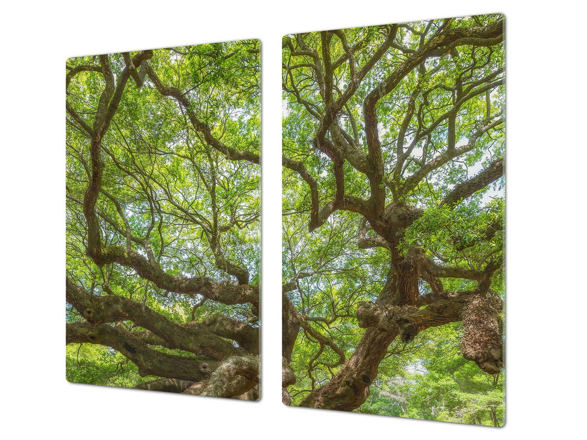 Worktop saver and Pastry Board 60D08: Tree 1