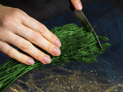 Tempered GLASS Cutting Board – Worktop saver and Pastry Board – Glass Kitchen Board; MEASURES: SINGLE: 60 x 52 cm (23,62” x 20,47”); DOUBLE: 30 x 52 cm (11,81” x 20,47”); D28 Golden Waves Series: Wave of glitter