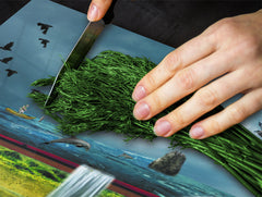 Glass Pastry Board 60D18: World