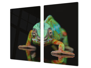 Tempered GLASS Cutting Board 60D01: Chameleon 2