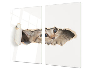 Tempered GLASS Cutting Board 60D01: Kitten 2