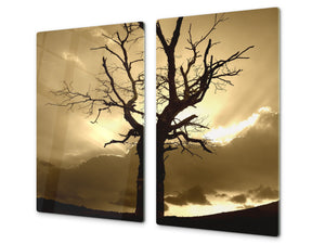 Tempered GLASS Kitchen Board – Impact & Scratch Resistant; D08 Nature Series: Tree 1