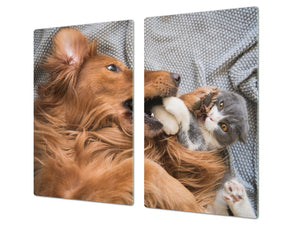 Tempered GLASS Cutting Board 60D01: Dog with a cat