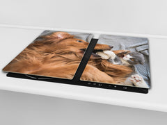 Tabla de cortar de VIDRIO templado 60D01: Perro con gato