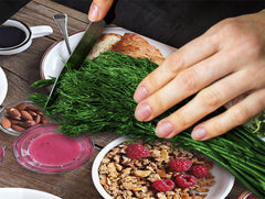 Tempered GLASS Cutting Board 60D16: Breakfast 8