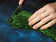 Kochplattenabdeckung Stove Cover und Schneideplatten; D10 Textures Series A:  Green starry sky