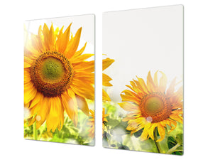 Induction Cooktop cover 60D06A: Sunflower 1