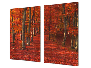Worktop saver and Pastry Board 60D08: Autumn forest