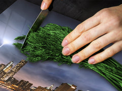 CUTTING BOARD and Cooktop Cover D11 Cities Series: marine coast 4