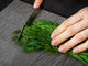 Cutting Board and Worktop Saver – SPLASHBACKS: A spice series DD03B Italian spices 5