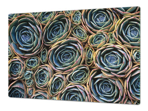 ENORMOUS  Tempered GLASS Chopping Board - Flower series DD06A Cactus flowers
