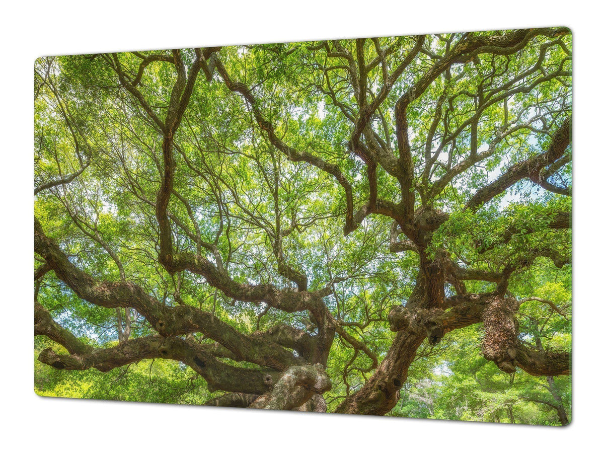 Very Big Cooktop saver - Nature series DD08 Tree 1