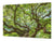 Very Big Cooktop saver - Nature series DD08 Tree 1