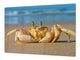 Riesig Schneidbrett aus Hartglas und schützende Arbeitsoberfläche; Animals series DD01: Crab