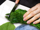 Enorm Küchenbrett aus Hartglas und Induktionskochplattenabdeckung; Fruit and Vegetables series DD02:  Bilberry