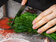 Cutting Board and Worktop Saver – SPLASHBACKS: A spice series DD03B Asian spices 1