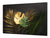 BIG KITCHEN BOARD & Induction Cooktop Cover – Glass Pastry Board – SINGLE: 80 x 52 cm (31,5” x 20,47”); DOUBLE: 40 x 52 cm (15,75” x 20,47”); DD41 Tropical Leaves Series: Leaves texture on black background
