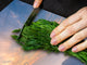 Very Big Cooktop saver - Nature series DD08 Mountain trail