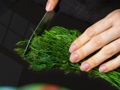 Gigantic Worktop saver and Pastry Board - Tempered GLASS Cutting Board Animals series DD01 Chameleon 2