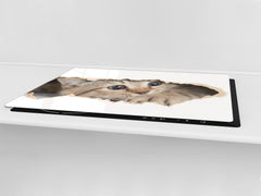Gigantic Worktop saver and Pastry Board - Tempered GLASS Cutting Board Animals series DD01 Kitten 2