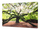 Very Big Cooktop saver - Nature series DD08 Tree 2
