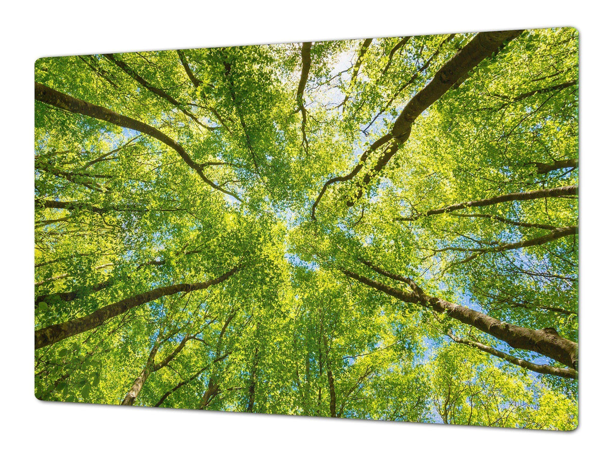 Very Big Cooktop saver - Nature series DD08 Crowns of trees