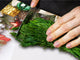 GÉANT Planche à découper et protège-plain de travail; Une série d'épices DD30 Série de Noël Décorations de Noël