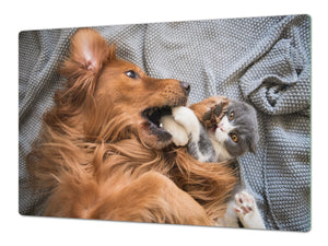 GIGANTE tagliere – Proteggi-piano di lavoro e spianatoia; Serie di animali DD01: Cane con un gatto