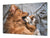 GIGANTE tagliere – Proteggi-piano di lavoro e spianatoia; Serie di animali DD01: Cane con un gatto