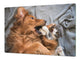 Riesig Schneidbrett aus Hartglas und schützende Arbeitsoberfläche; Animals series DD01: Dog with a cat