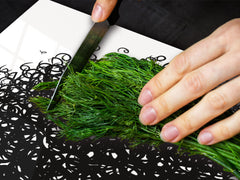 HUGE TEMPERED GLASS COOKTOP COVER - Egyptian Series DD15 Double buns