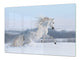Gigantic Worktop saver and Pastry Board - Tempered GLASS Cutting Board Animals series DD01 White horse