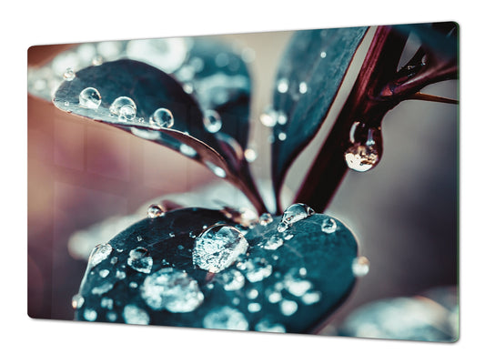 Very Big Cooktop saver - Nature series DD08 Dew on the leaves