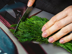 Gigante Cubre vitro resistente a golpes y arañazos - Series de la Naturaleza DD08 Rocío Sobre Las Hojas