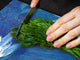 Riesig Kochplattenabdeckung Stove Cover und Schneideplatten; Series of Images DD05B: Flowers 5