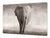Riesig Schneidbrett aus Hartglas und schützende Arbeitsoberfläche; Animals series DD01: Elephant 1
