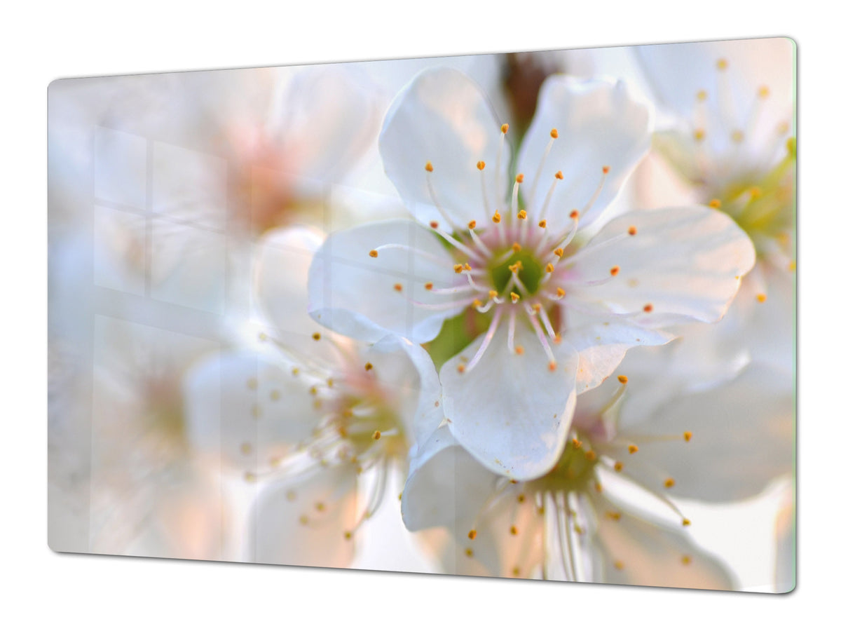 ENORMOUS  Tempered GLASS Chopping Board - Flower series DD06A Cherry blossom 1