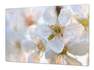 ENORME tabla de cortar de VIDRIO templado - Serie de flores DD06A Flor De Cerezo 1
