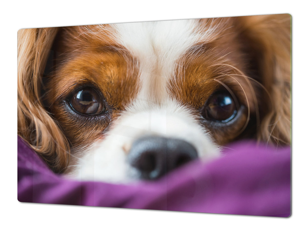 Gigantic Worktop saver and Pastry Board - Tempered GLASS Cutting Board Animals series DD01 Doggie