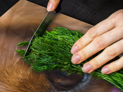 Gigantic Worktop saver and Pastry Board - Tempered GLASS Cutting Board Animals series DD01 Doggie