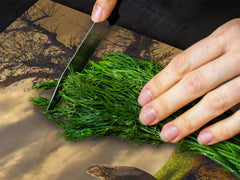 Induction Cooktop Cover – Glass Worktop saver: Fantasy and fairy-tale series DD18 Wander your thoughts