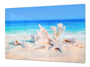 Very Big Cooktop saver - Nature series DD08 Shells on the beach 1
