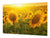 GIGANTE Copri-piano cottura a induzione – ENORME tagliere in VETRO temperato: Serie di fiori DD06A: Girasole 2