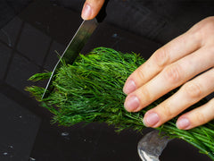 HUGE TEMPERED GLASS COOKTOP COVER A spice series DD03A Italian spices 1